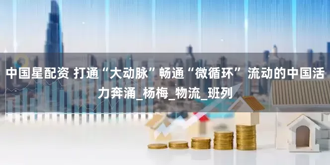 中国星配资 打通“大动脉”畅通“微循环” 流动的中国活力奔涌_杨梅_物流_班列