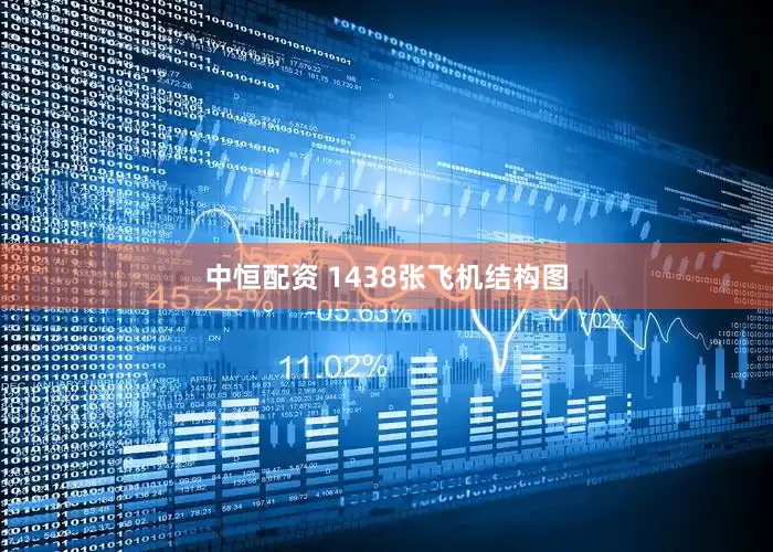 中恒配资 1438张飞机结构图