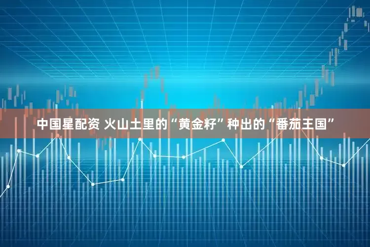 中国星配资 火山土里的“黄金籽”种出的“番茄王国”