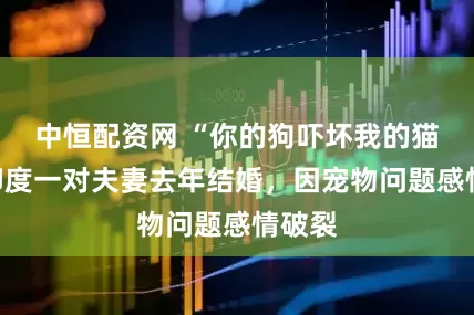 中恒配资网 “你的狗吓坏我的猫”，印度一对夫妻去年结婚，因宠物问题感情破裂