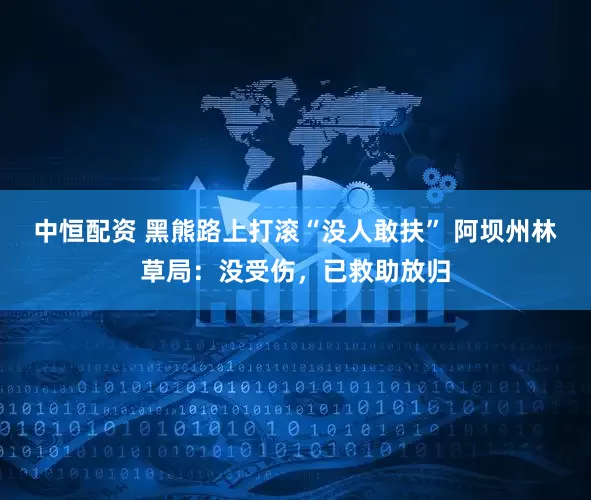 中恒配资 黑熊路上打滚“没人敢扶” 阿坝州林草局：没受伤，已救助放归